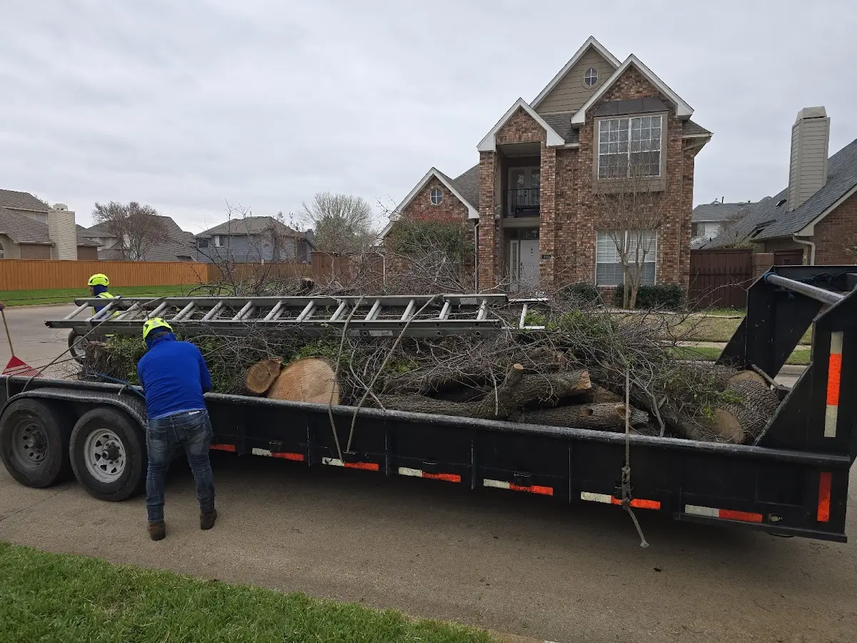 Expert Tree Fertilization with proper safety equipment in Waverly